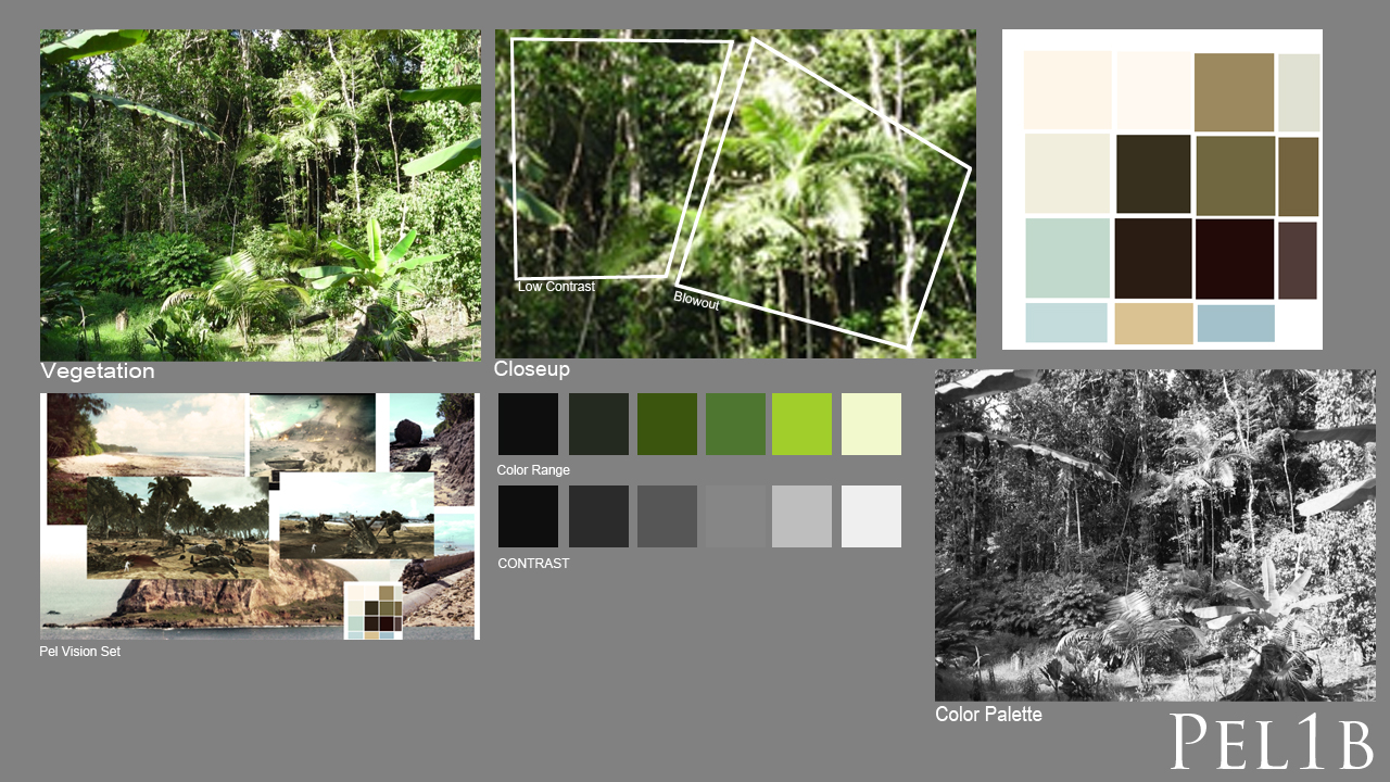 Mood board for Peleliu